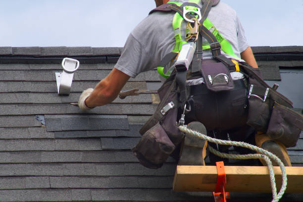 Best Local Roofing Companies  in Shinnston, WV