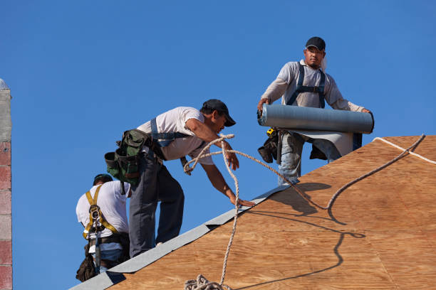 Best Roof Leak Repair  in Shinnston, WV